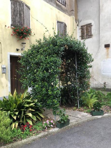 Il Casale Del Miele Fraforeano Exterior foto